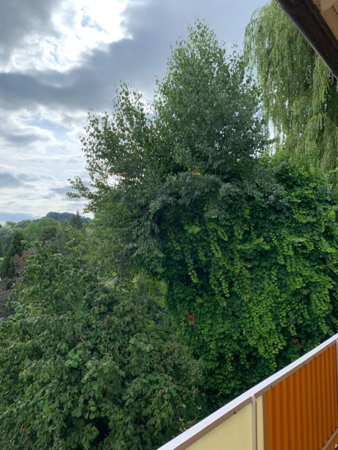 Apartament Blumenblick Rielasingen-Worblingen Exterior foto